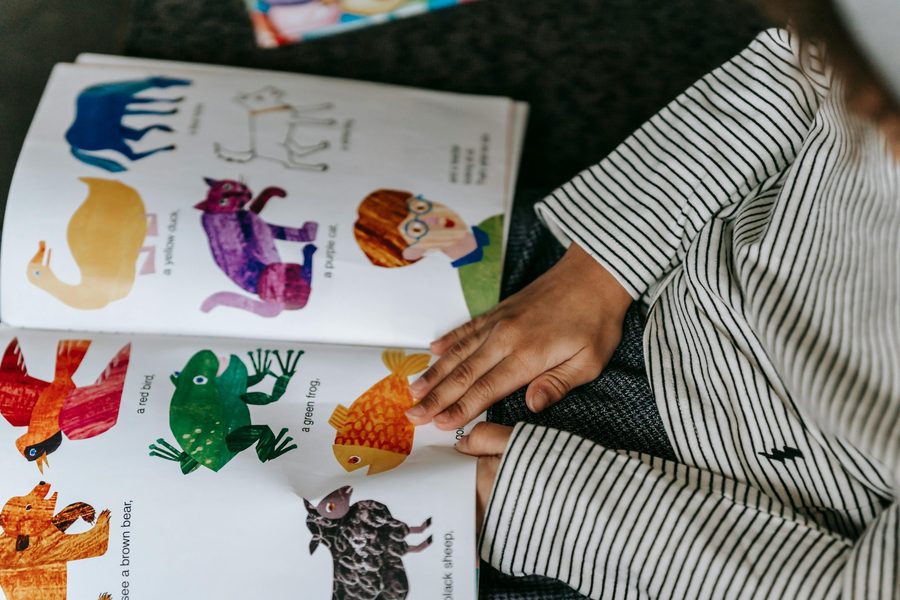 An adult reading an illustrated picture book with a child